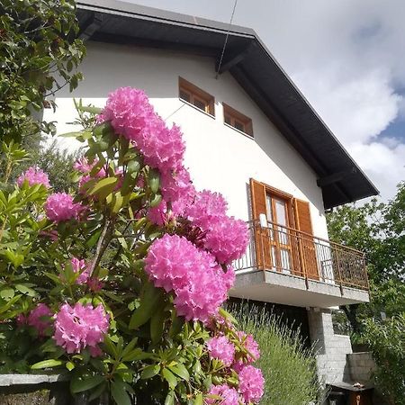 Ollasio18 Giaveno Luaran gambar