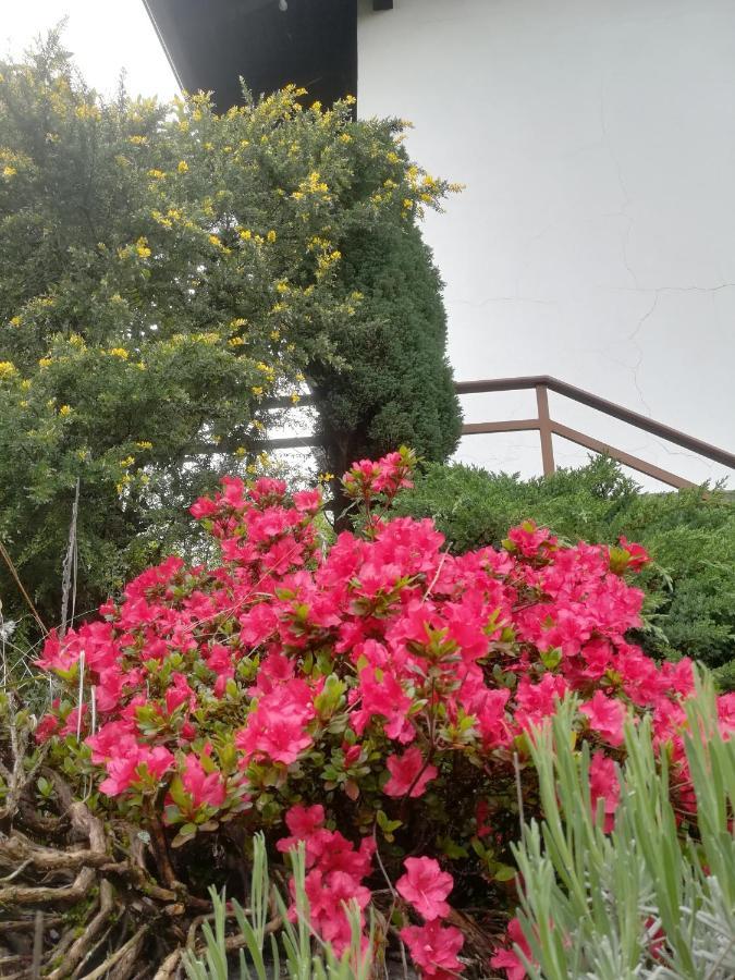 Ollasio18 Giaveno Luaran gambar