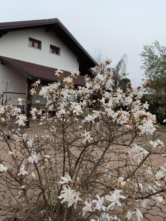 Ollasio18 Giaveno Luaran gambar