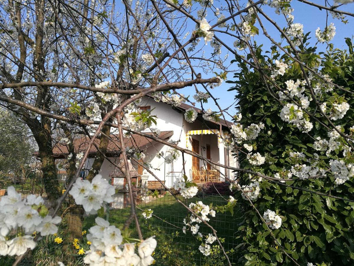 Ollasio18 Giaveno Luaran gambar